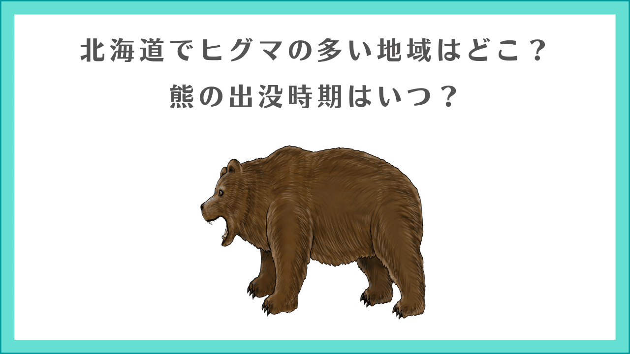 北海道でヒグマの多い地域はどこ？熊の出没時期はいつ？